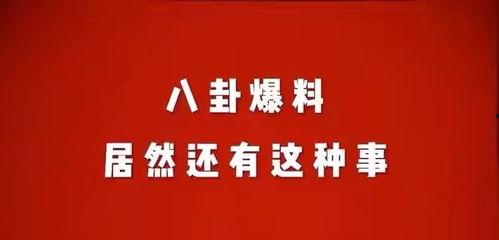 娱乐八卦最新爆料文章在线阅读,最新爆料文章在线阅读，明星幕后故事大曝光！